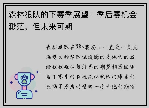 森林狼队的下赛季展望：季后赛机会渺茫，但未来可期