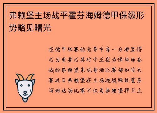 弗赖堡主场战平霍芬海姆德甲保级形势略见曙光